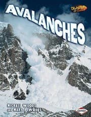 Tapa de Avalanches