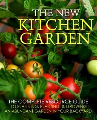 Tapa de The New Kitchen Garden