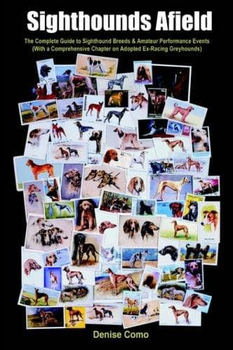 Tapa de Sighthounds Afield