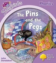 Tapa de The Pins And The Pegs