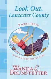 Tapa de Look Out Lancaster County 4in1 Story Collection