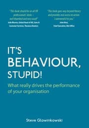 Tapa de Its Behaviour Stupid What Really Drives The Performance Of Your Organisation