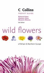 Tapa de Wild flowers of Britain and Northern Europe