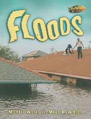 Tapa de Floods