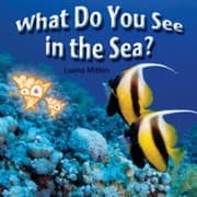 Tapa de What Do You See In The Sea