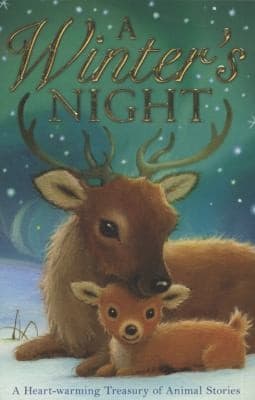 Tapa de A Winters Night