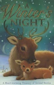 Tapa de A Winters Night
