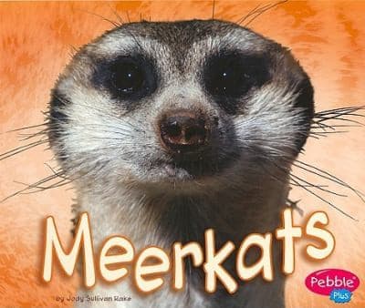 Tapa de Meerkats
African Animals