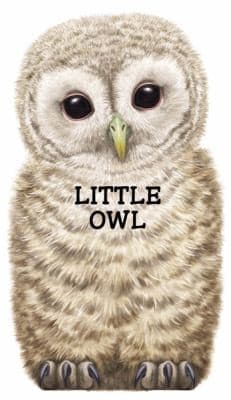 Tapa de Little Owl