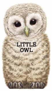 Tapa de Little Owl