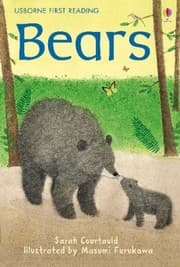 Tapa de Bears