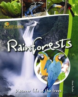 Tapa de Rainforests