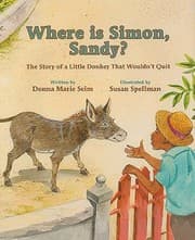 Tapa de Where Is Simon Sandy