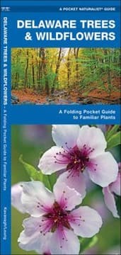 Tapa de Delaware Trees Wildflowers An Introduction To Familiar Species