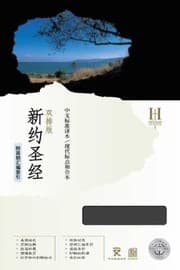 Tapa de Holy Bible New Testament Chinese Standard Bible Chinese Union Version With Modern Punctuation