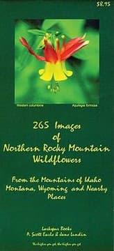 Tapa de 265 Images of Northern Rocky Mountains Wildflowers