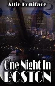 Tapa de One Night In Boston