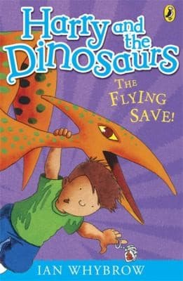 Tapa de The Flying Save