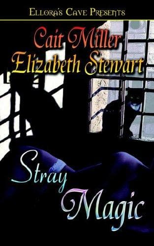 Tapa de Stray Magic