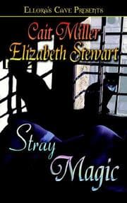 Tapa de Stray Magic