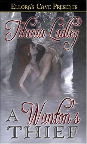 Tapa de A Wanton's Thief