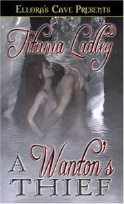 Tapa de A Wanton's Thief
