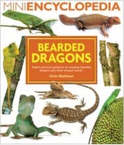 Tapa de Bearded Dragons Expert Practical Guidance On Keeping Bearded Dragons And Other Dragon Lizards