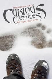 Tapa de Curious Creatures Of New England