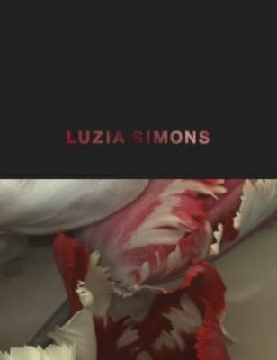 Tapa de Luzia Simons
