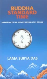 Tapa de Buddha Standard Time Awakening To The Infinite Possibilities Of Now