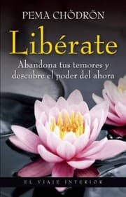 Tapa de Liberate Taking The Leap Abandona Tus Temores Y Descubre El Poder Del Ahora Freeing Ourselves From Old Habits And Fears