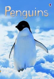 Tapa de Penguins