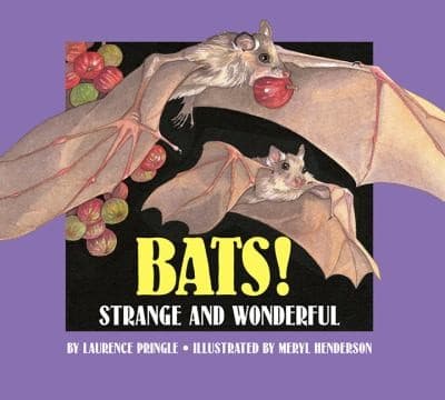 Tapa de Bats Strange And Wonderful