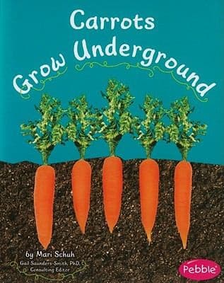 Tapa de Carrots grow underground