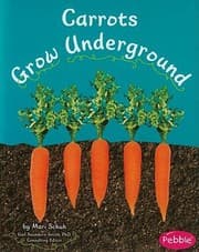 Tapa de Carrots grow underground
