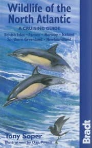 Tapa de North Atlantic A Guide To The Wildlife