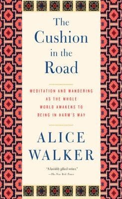 Tapa de The Cushion in the Road