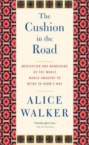 Tapa de The Cushion in the Road