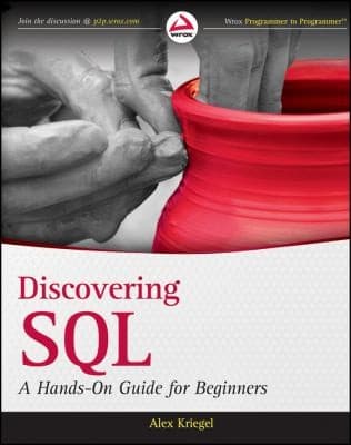 Tapa de Discovering Sql A Handson Guide For Beginners