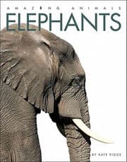 Tapa de Elephants
            
                Amazing Animals Creative Education Paperback