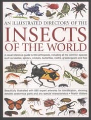 Tapa de An Illustrated Directory Of The Insects Of The World A Visual Reference Guide To 650 Arthropods Including All The Common Species Such As Beetles Spiders Crickets Butterflies Moths Grasshoppers And Flies