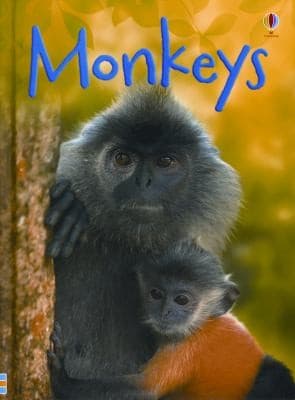 Tapa de Monkeys