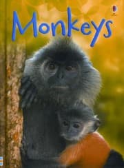 Tapa de Monkeys