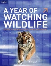 Tapa de A Year Of Watching Wildlife A Guide To The Worlds Best Animal Encounters