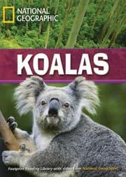 Tapa de Koalas