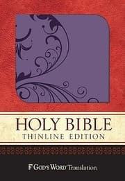 Tapa de Holy Bible Gods Word Purple Shimmer Vine Design Duravella Thinline Bible