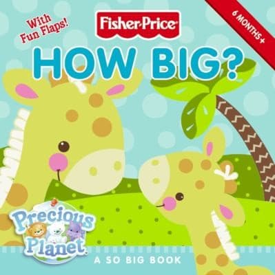 Tapa de How Big A Sooo Big Book