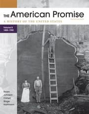 Tapa de The American Promise Volume B 18001900