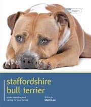 Tapa de Staffordshire Bull Terrier Understanding And Caring For Your Dog