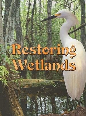 Tapa de Restoring Wetlands
Lets Explore Science Paperback
